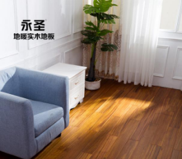 圓盤豆705