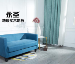 番龍眼8811