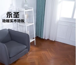 二翅豆8842