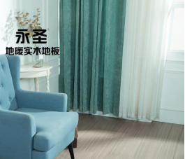 圓盤豆8852